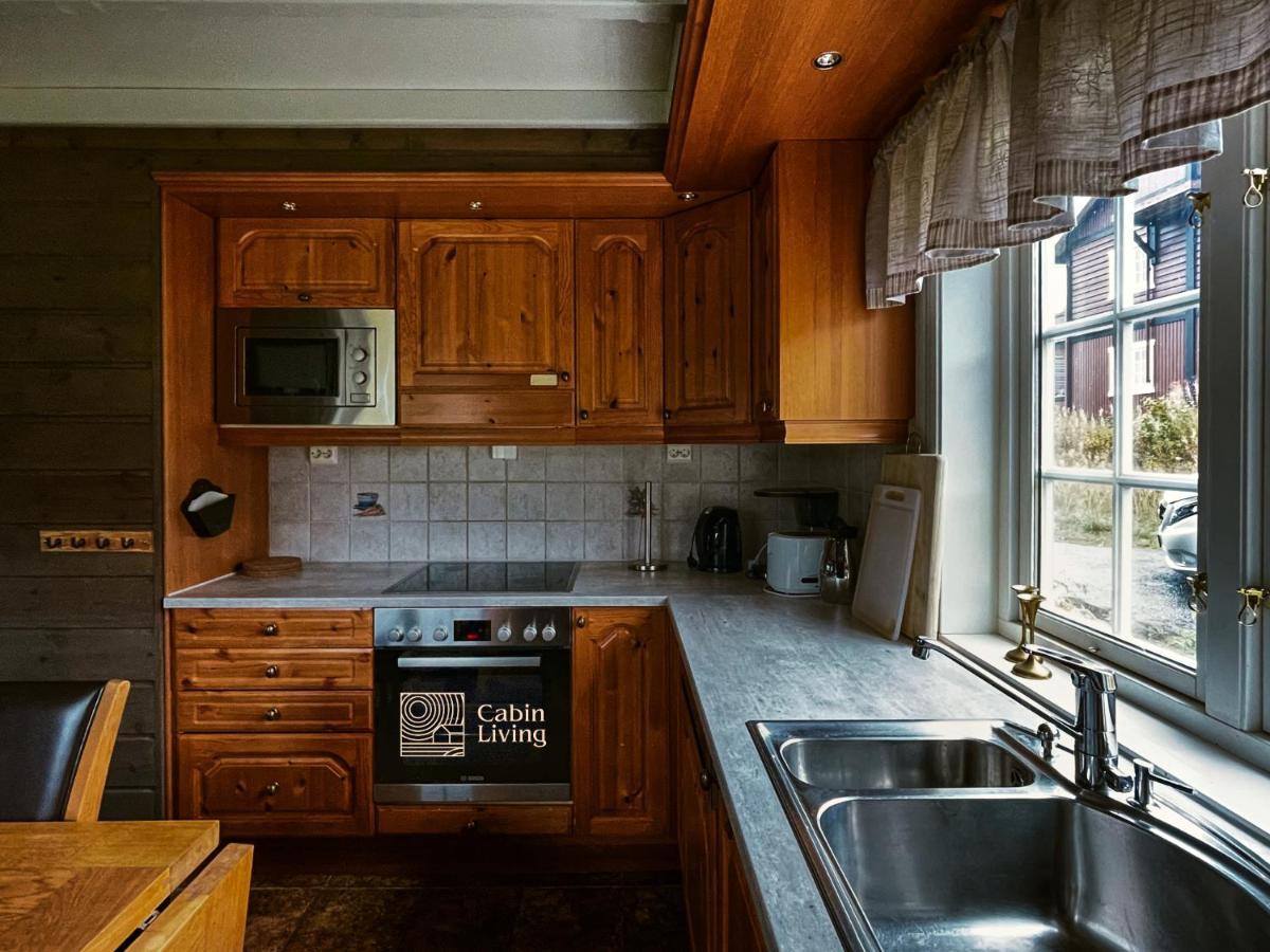 Great Apartment In Trysil, Ski Inout, Wifi, Sauna 외부 사진